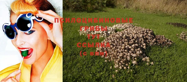 прущие грибы Майский