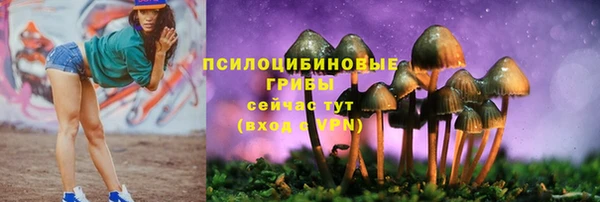 мескалин Абаза